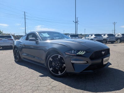 2019 Ford Mustang EcoBoost