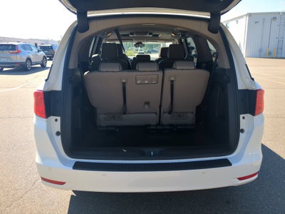 2024 Honda Odyssey Elite