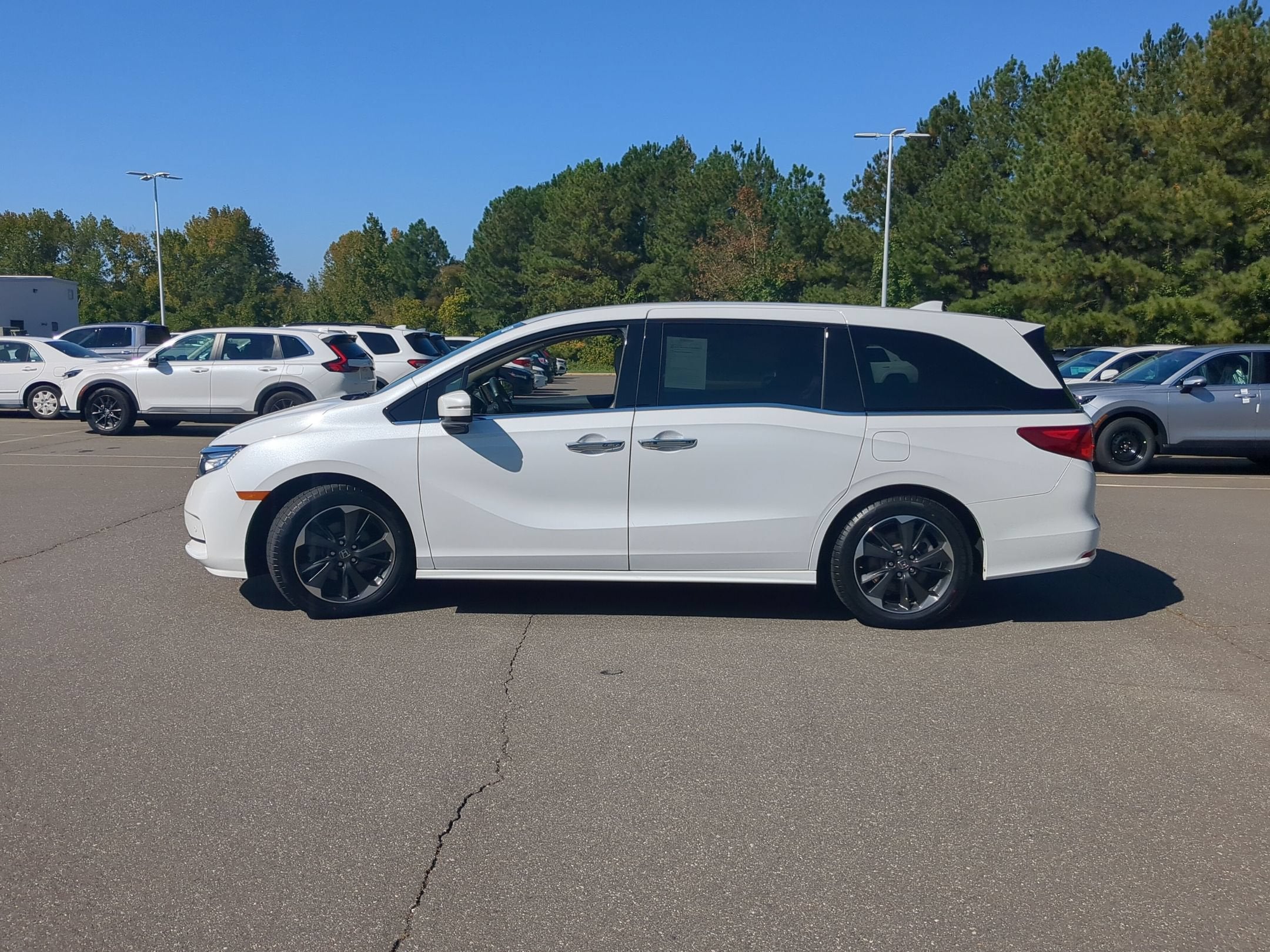 2024 Honda Odyssey Elite