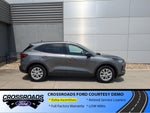 2025 Ford Escape Active - Crossroads Courtesy Demo