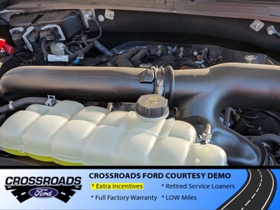 2025 Ford Expedition Active - Crossroads Courtesy Demo