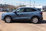 2025 Ford Escape Active - Crossroads Courtesy Demo