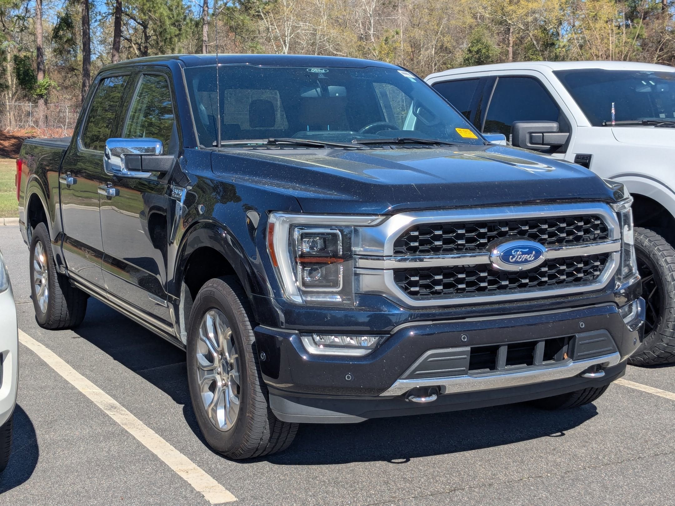 2022 Ford F-150 Platinum