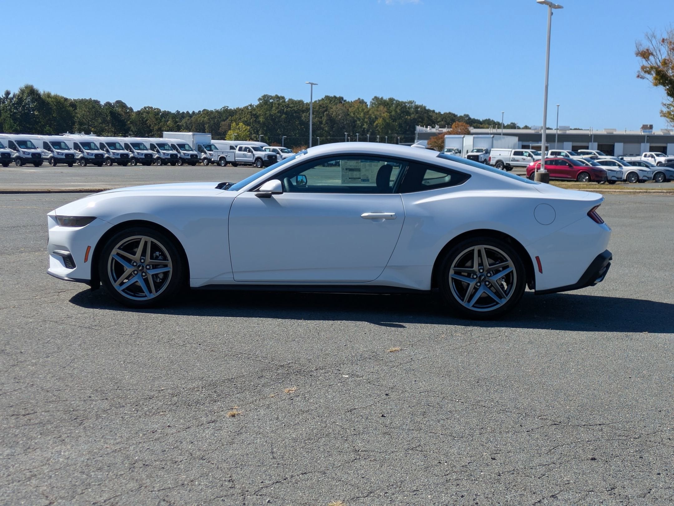 2025 Ford Mustang EcoBoost