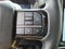 2025 Ford F-150 Lightning Platinum