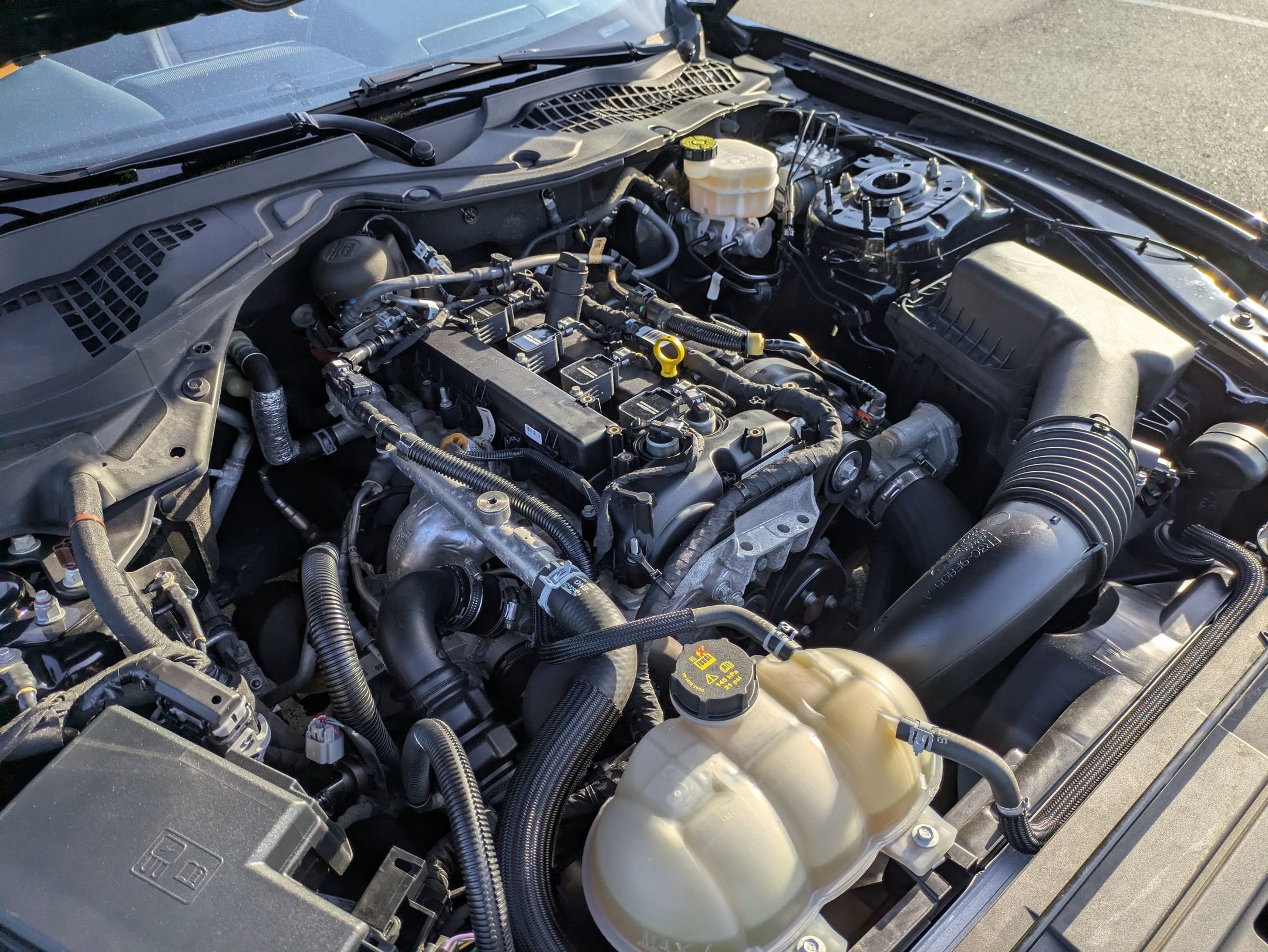 2023 Ford Mustang EcoBoost Premium