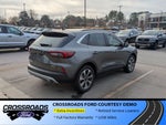 2025 Ford Escape Platinum - Crossroads Courtesy Demo