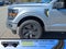 2025 Ford F-150 STX - Crossroads Courtesy Demo