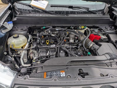 2024 Ford Maverick XLT