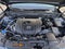 2024 Mazda Mazda CX-50 2.5 S Premium Plus Package