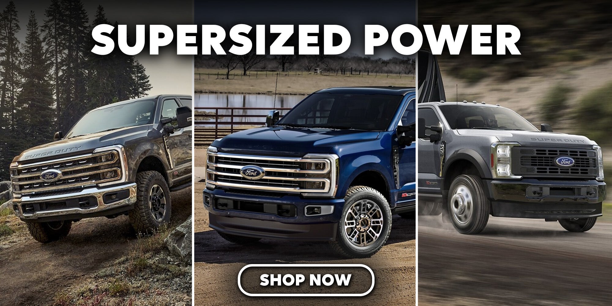 2025 Ford Super Duty Dunn NC